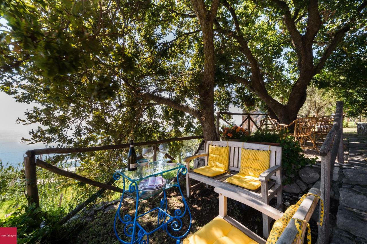 Il Nibbio Apartment ปิอาโนดิซอร์เรนโต ภายนอก รูปภาพ
